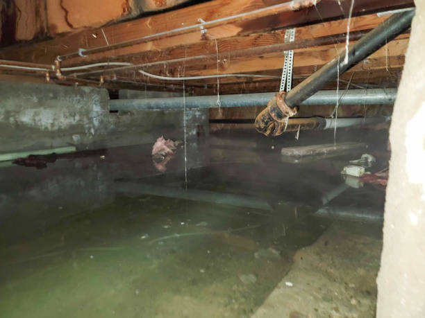 Water damage restoration process in Buford, GA
