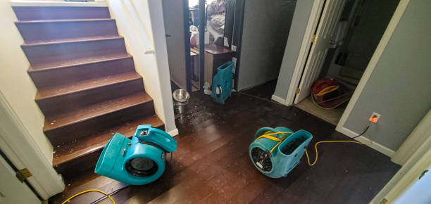 Best Basement water damage restoration  in Buford, GA
