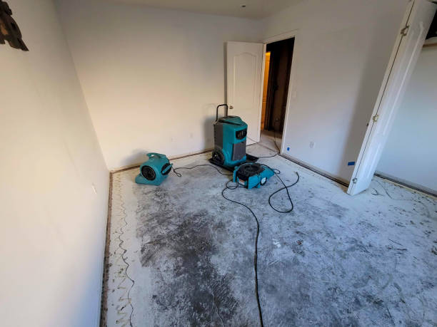 Best Water damage restoration near me  in Buford, GA