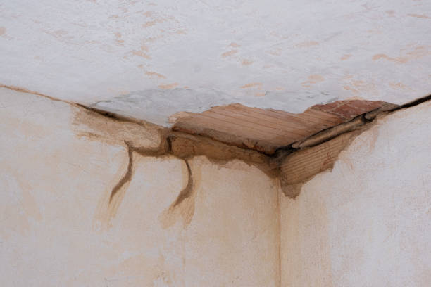 Best Water damage contractors near me  in Buford, GA