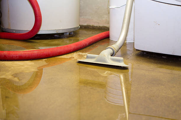 Best Professional water damage repair  in Buford, GA