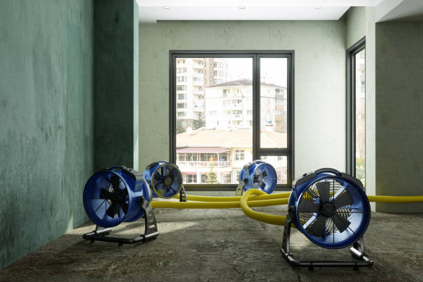 Best Carpet water damage restoration  in Buford, GA
